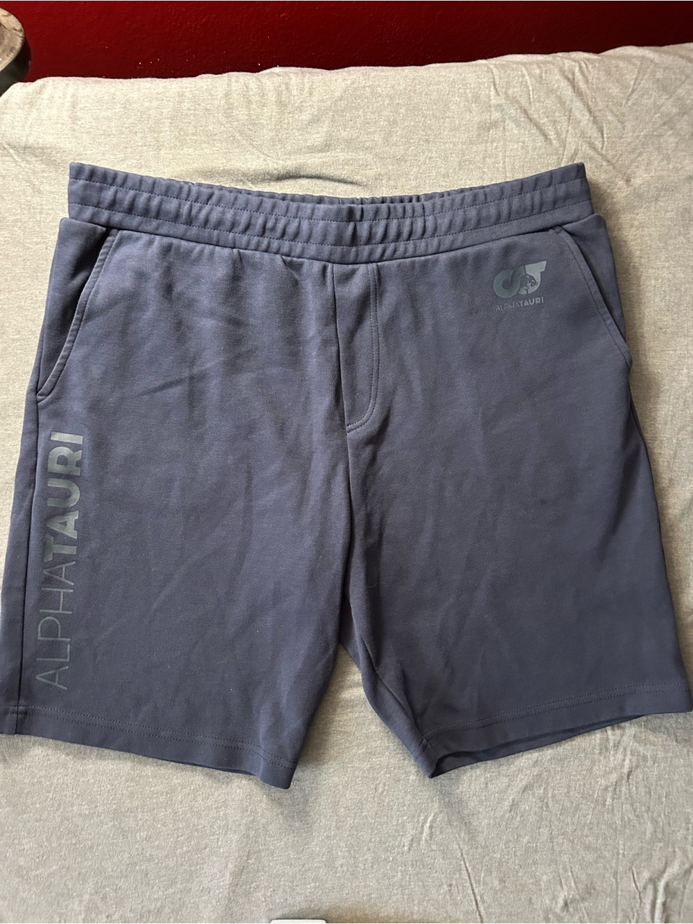 Alpha Tauri Men's Navy Athletic Shorts with Logo Size L